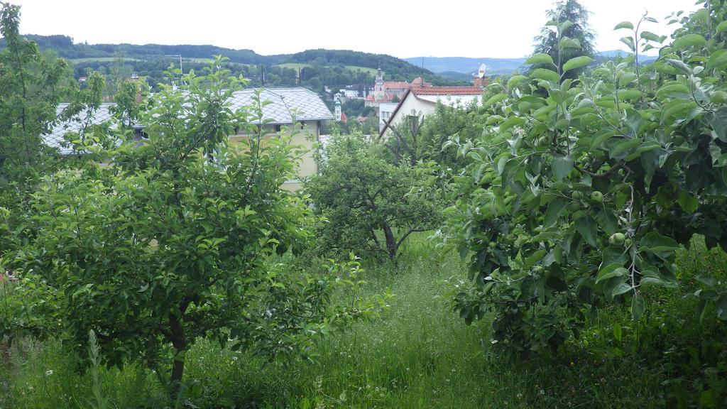Ubytovani U Dolanskych Český Krumlov Εξωτερικό φωτογραφία