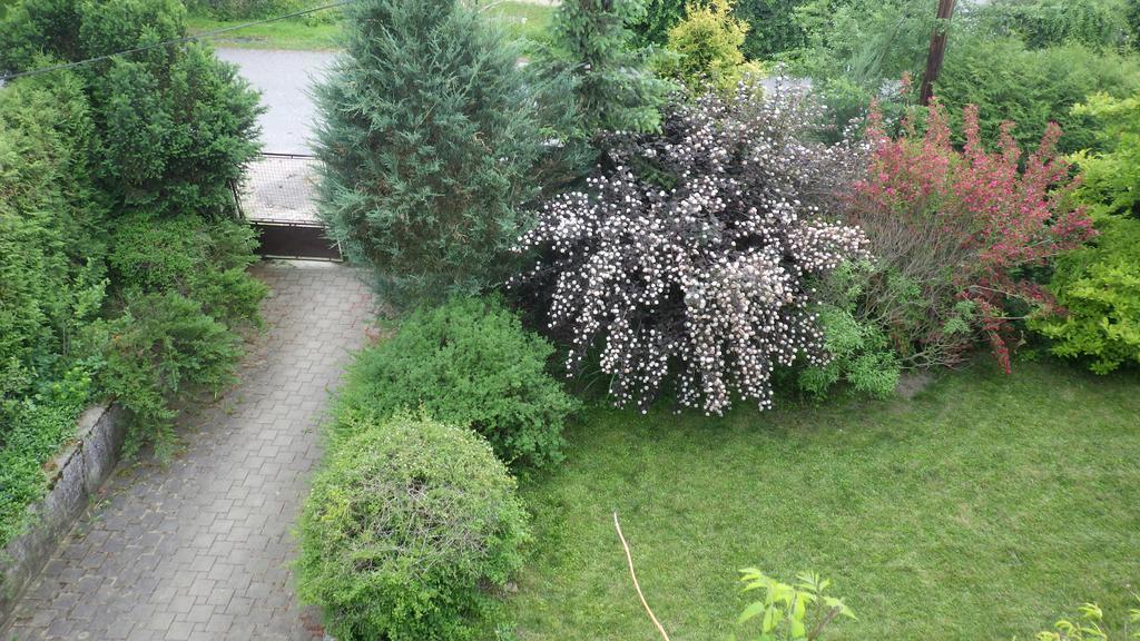 Ubytovani U Dolanskych Český Krumlov Εξωτερικό φωτογραφία