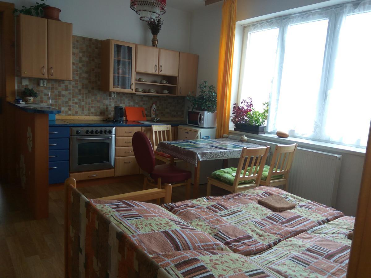 Ubytovani U Dolanskych Český Krumlov Εξωτερικό φωτογραφία